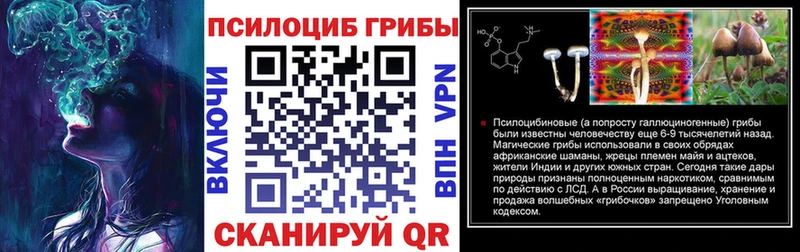 Псилоцибиновые грибы Psilocybe Андреаполь