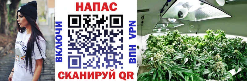 Шишки марихуана White Widow mega как войти Андреаполь
